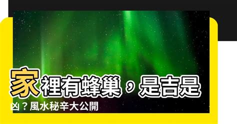 家裡有蜂巢 風水|為何蜂巢選中你家？算命揭秘